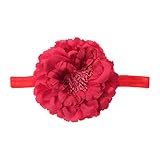 Domybest　ベビー ヘアバンド フラワー　柔らかい　キッズ 子供 カチューシャ 髪飾り ヘアアクセサリー　女の子 新生児 赤ちゃん 出産祝い 内祝い お宮参り 誕生日 100日記念 こどもの日 