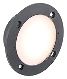 Outer Circle Light Module, 100-240 Volt, 2.5 Watt, 3000 K , cETLus Wet Locations by American Lightin