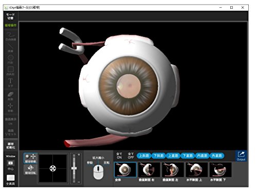 眼科 インフォームドコンセント 支援システム iCeye 211 描画ツール ( CG シェーマ [ 目のしくみ 検査 白内障 緑内障 加齢黄斑変性 糖尿病網膜症 ] 3D 眼球模型 )　USBメモリ版