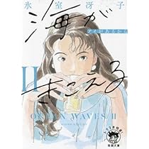 海がきこえる('93徳間書店/日本テレビ放送網)等々本編ディスクのみ16枚セット 海がきこえる('93徳間書店/日本テレビ放送網)等々本編ディスク