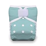 Thirsties One Size Hook and Loop Pocket Diaper, Aqua by Thirsties