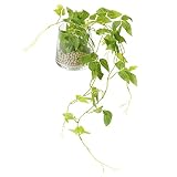 GREENPARK テッセンソウ ガラストラぺゾイド エコストーン 造花 フェイクグリーン