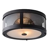 Feiss OL12013ORB 2-Bulb Outdoor Flush Mount Light Fixture, Oil Rubbed Bronze Finish by Feiss
