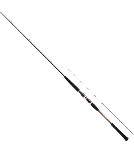 Amazon | ダイワ(DAIWA) 船竿 A-ブリッツ ネライ・E M-240・E 釣り竿