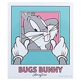 ルーニーテューンズ[ダイカットシール]キャラクターステッカー/写真 LOONEY TUNES