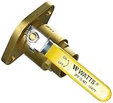 ワット水テクノロジー真鍮独立性ポンプフランジ1、4 "汗