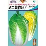 白菜 種 ミニ黄作50 小袋（約20ml）