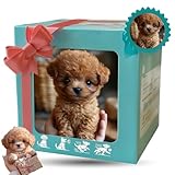 2025新しい犬、私の現実的なの子犬、本物の犬のように振る舞う犬、AI犬 - ウォーキング、barえ、尾の膨らむ A