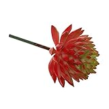 SunniMix プラスチック製　花飾り　プレゼント　観葉植物　エケベリア　人造　人工植物　飾り物　多肉植物