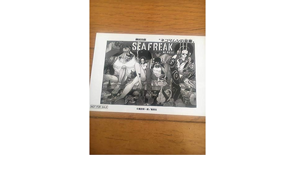 Amazon ワンピース 1000logs 扉絵 ブロマイド 809話 タイトル ネコマムシの旦那 アニメ 萌えグッズ 通販