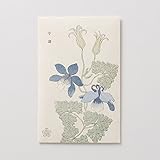 ［中川政七商店］［花園樹斎］　種　苧環　プラントハンター