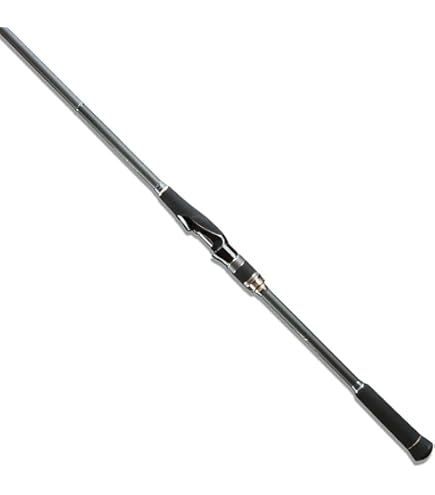 Amazon | ヤマガブランクス シーバスロッド Ballistick 95MH