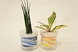 【ズボラさんでも大丈夫!!自動給水だからお世話が簡単です♪】　観葉植物　ハイドロカルチャー　自動給水器　アクアサンド　青・黄２個セット