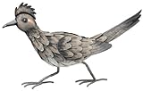 Regal Art & Gift REGAL10319 Roadrunner Large