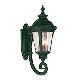 Transglobe Lighting 5041 VG Outdoor Wall Light with Seeded Glass Shades, Verde Green Finished [並行輸入品