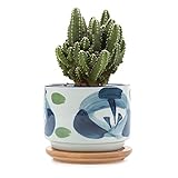 T4U 7.5CM 陶器鉢 和風シリーズNo.7 春の緑 多肉植物 サボテン鉢 フラワーポット プランター容器 バンブートレイ付き