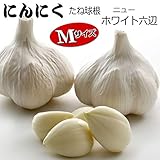 青森県産 ニュー ホワイト六片 にんにく 球根 種子 M球 1kg ニンニク
