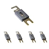 Fenteer カーオーディオ　ANLヒューズ　200A　回路ブレーカ　金メッキ　亜鉛合金製　5個セット