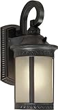 Forte Lighting 17021-01-64 Exterior Wall Light with Umber Seeded Glass Shades Bordeaux [並行輸入品]