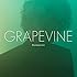 GRAPEVINE「Burning tree(初回限定盤)」