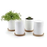 T4U 7CM 陶器鉢 白 円筒 植木鉢 多肉植物 サボテン鉢　竹トレイ付き 4個入り