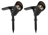 Newhouse Lighting SOLARSPOT-2 High Powered LED Metal Solar Spotlight, Black, 3000K, 2-Pack [並行輸入品]