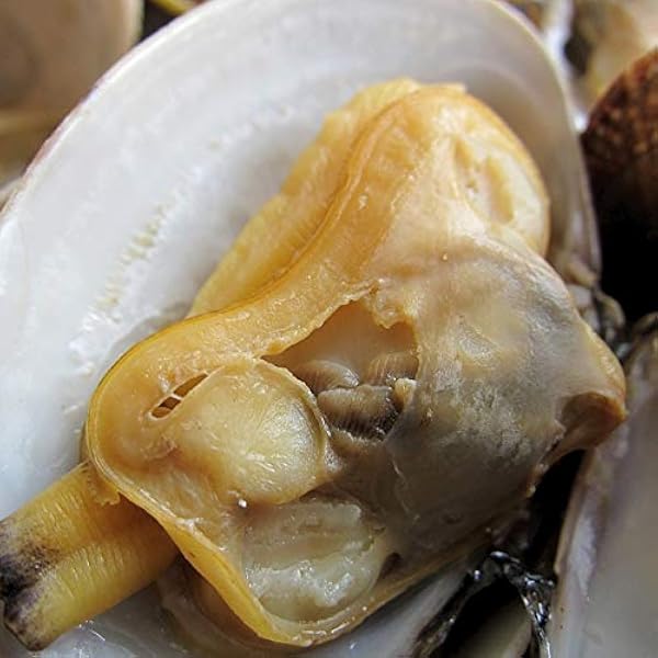 Amazon.co.jp: 旨みのギッシリ!! 「あさり むき身1kg」大量