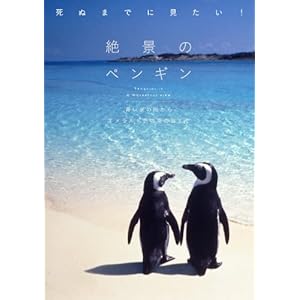 死ぬまでに見たい! 絶景のペンギン