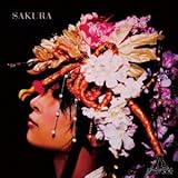 SAKURA 【春盤】