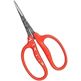 近正(Chikamasa)チカマサ ステンレス ぶどう手入れ鋏 B-500S