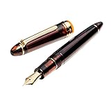 WANCHER×SAILOR 21K万年筆プロフェッショナルギア「枝垂れ藤」極細 Amazon | WANCHER限定万年筆 SAILOR セーラー オリジナル