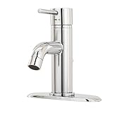 Pegasus 78CR211ALFHD Modern Single Hole 1-Handle Low-Arc Bathroom Faucet in Chrome by Your Other War