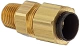Eaton Weatherhead 1268X6X2 Brass CA360 Polyline Flareless Brass Fitting, Adapter, 1/8 NPT Male x 3/8