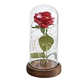 Etelux「美女と野獣」(Beauty and the Beast) 魔法の薔薇 ローズライト 造花 花ランプ バラランプ ガラスドームカバー 女性へのプレゼント 結婚式 記念日 誕生日 パーティー