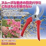 ジャステム 使いやすい剪定バサミ 剪定鋏 180mm 811812　ジャステム [簡易パッケージ品]