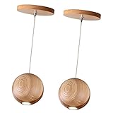 Baoblade 4タイプ選べる　天井ペンダントランプ　ライトシェード　ペンダントライト - タイプ１（２個）