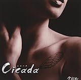 Cicada(��������)
