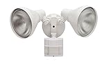 Defiant 180 Degree Motion Security Light [並行輸入品]