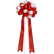 専用　赤白リボン Amazon | 日本紐釦貿易(Nippon Chuko) 紅白リボン 24mm×29m 式典