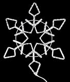 Vickerman Pure White LED Lighted Rope Light Snowflake Commercial Christmas Decoration, 24 by Vickerm