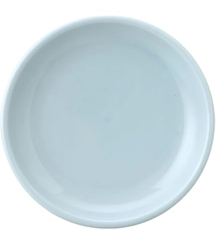 Amazon｜花伝 KOYO 光洋陶器 青彩 10cm リム3.0皿 青磁中華 美濃焼 食