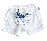 【あるこんたるこん】トランクス クジラ ベビー キッズ ジュニア 男の子 ブリーフ ボクサー コットン100％ (M(120-130相当))