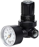 Dixon R07-200RG Norgren Series Miniature Regulator with Gauge, 22 SCFM, 1/4 Port Size, 5-100 PSI by 