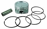 Briggs & Stratton 843951 Standard Piston Ring Set [並行輸入品]