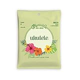 Martin(マーチン) ウクレレ弦 Fluorocarbon Ukulele Strings テナーウクレレ用 M620 Tenor