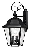 Hinkley 1675BK-LED Outdoor Edgewater Light [並行輸入品]