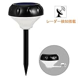 ソーラーライト Vorally 人感センサーライト 屋外 レーダー検知式 明暗と人感センサー 感度敏感 IP65防水 夜間自動点灯 ガーデンライト 防犯 防災対策 (白光, 1pack)