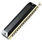 クロマチックハーモニカ 16穴 64音 C調ハーモニカ プロ仕様の楽器 初心者用ハーモニカ (Color : Bk 01)