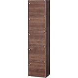 アイリスオーヤマ カラーボックス 5段 幅41.5×奥行29×高さ168cm ブラウン A4サイズ収納 ドア付 CX-55FD