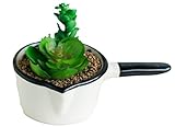 Outflower　植木鉢　おしゃれ　陶器　室内　安い　多肉植物　園芸用品　単品　装飾品　観葉植物　サボテン鉢　フラワーポット　プランター容器　キャセロール　盆栽鉢　小型　スタンダードポット